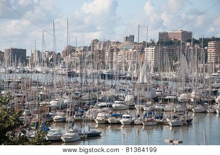 Palma skyline to Paseo Maritimo with small boat marina