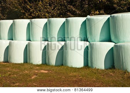 Bale Of Straw Infold In Plastic Film (foil) To Keep Dry In Automn In Intensive Colors
