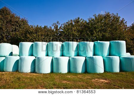 Bale Of Straw Infold In Plastic Film (foil) To Keep Dry In Automn In Intensive Colors