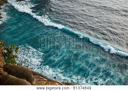 view of a monkey cliff in Bali Indonesia
