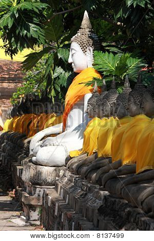 Rivin istuu Buddhan