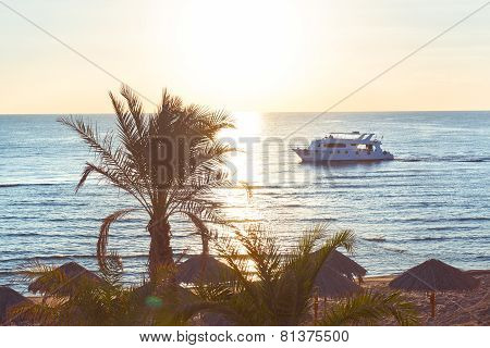 Tropical sunset