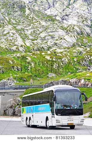 Man R08 Lion's Top Coach