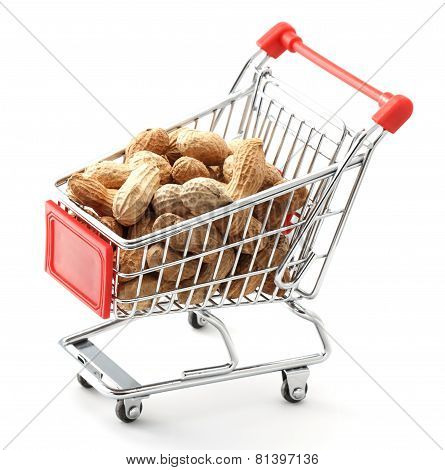 Shopping Cart