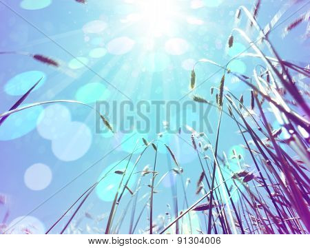 Nature and sunbeam