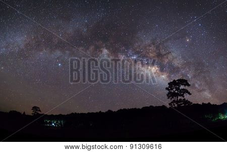 Silhouette of Tree and Milky Way with cloud