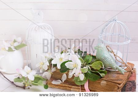 Postcard With Apple Blossom