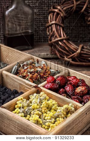 collected and dried herbs doctor