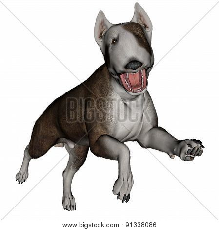 Bull terrier dog runnning - 3D render