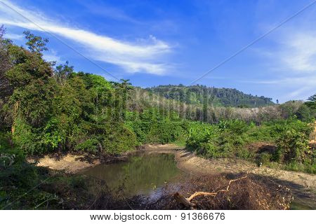 Koh Mook Peak Pond.