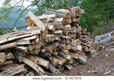 Pile Of Beech Logs
