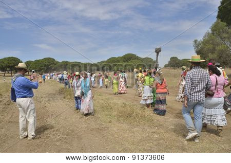 Pilgrims Wlaking To El Rocio
