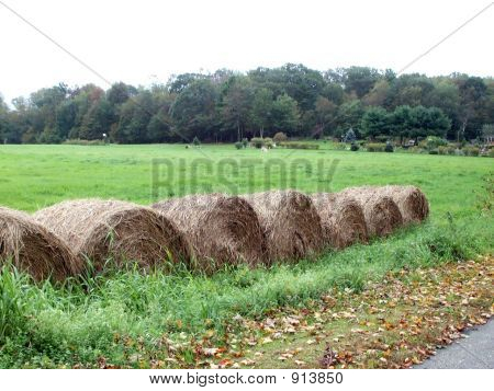 เสีย baled เฮย์