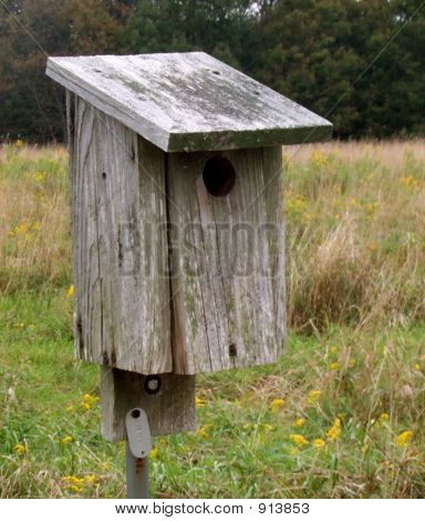 Východní modrý pták Box