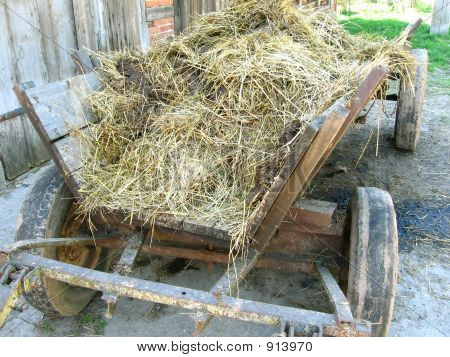 Puun Wagon