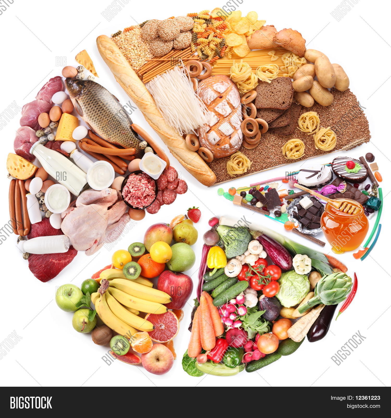 food balanced diet form circle image photo bigstock balanced form