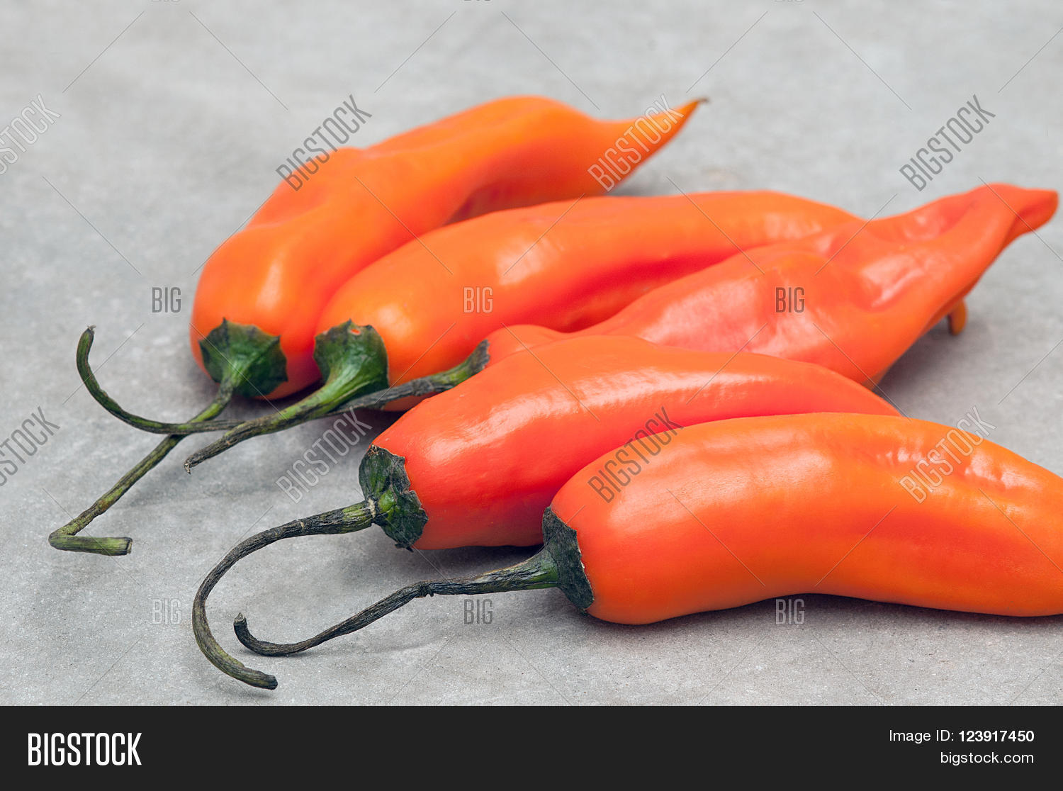 Aji Bitches