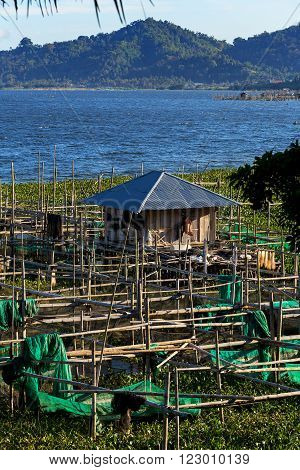 Fish farm and hatchery or nursery Lake Tondano Sulawesi Indonesia (Celebes) Asia