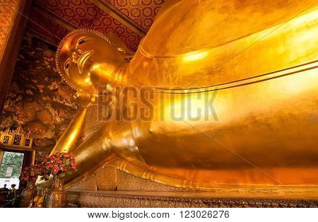 BANGKOK, THAILAND - FEB 14: View of the Reclining Buddha gold statue inside famous Wat Pho temple on February 14, 2015. Wat Pho is a Buddhist temple complex founded in 16th century