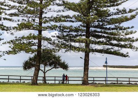 CALOUNDRA, AUSTRALIA - MARCH 7 2016: Coastal view beach front with large pine trees at Sunshine Coast Caloundra.