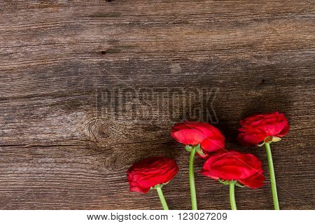 posy of red ranunculus flowers on wooden nackground