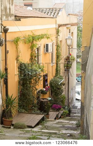 Walk through the alleys of the neighborhood 