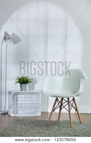 Bright White Cozy Living Room