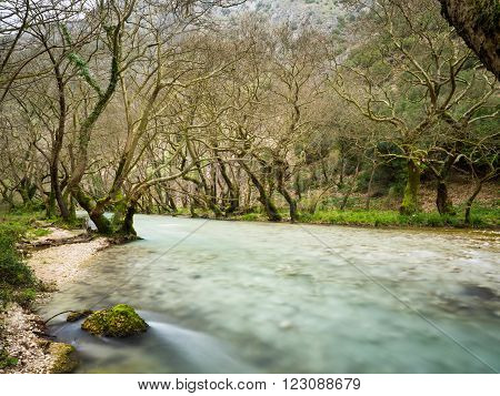 small lake louros with trees and fresh water in north Greece close to Ioannina