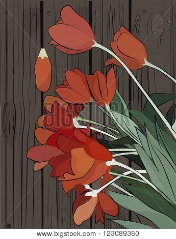 red orange tulips on the wood floor illustration
