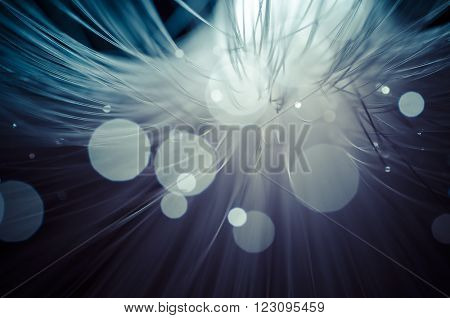 Fiber optic cables, fibre connection, telecomunications concept.