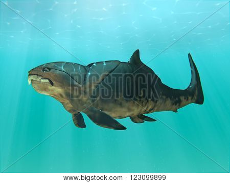 An 3D illustration of the giant (30 feet) prehistoric fish Dunkleosteus swimming. Dunkleosteus was a placoderm fish that existed during the Late Devonian period about 380-360 million years ago.