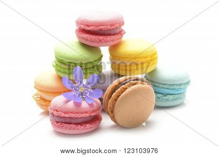 colorful and delicious macarons on white background
** Note: Shallow depth of field