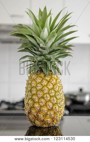 A Whole pineapple sitting on a kitchen bench
