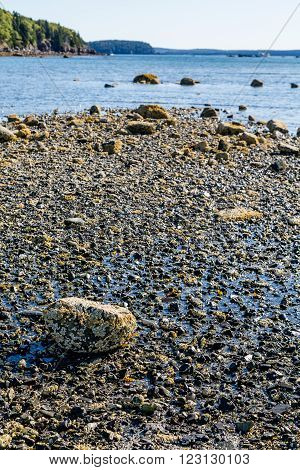 Low Tide with tidal pools near Bar Harbor Maine