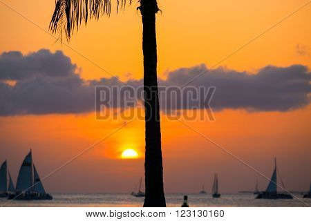 KEY WEST, USA - MAY 10, 2015: Sunset above the Key West Bight on a glowing orange sky with some clouds and several sailing ships on the sea. The sun is already halfway down in front the silhouette of a palm tree.