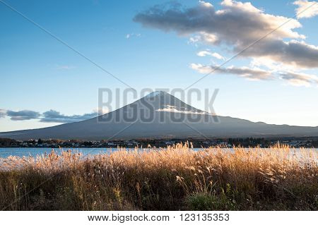 Beautiful view of Mount Fuji and field at Lake Kawaguchi in autumn This mountain is an famous natural landmark of Japan