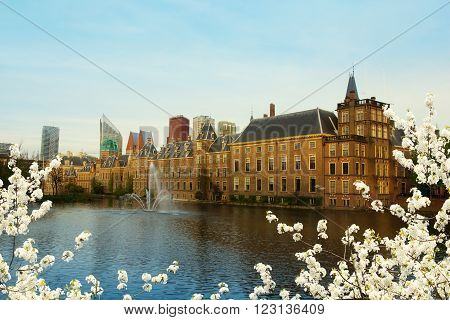 view of Binnenhof Dutch Parliament over pond at spring, The Hague, Netherlands