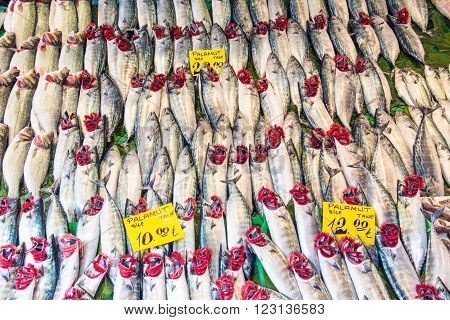 Plenty of fish at a fish market in Istanbul, Turkey