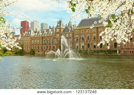 view of Binnenhof Dutch Parliament  at spring, The Hague, Netherlands