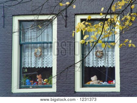 zwei Fenster