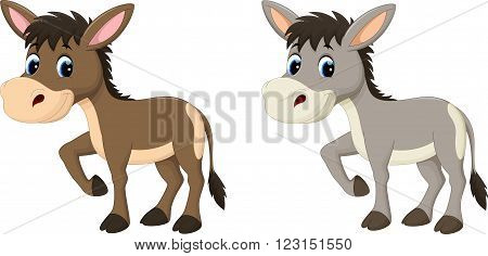 Vector illustration of Funny donkey cartoon isolated on white background