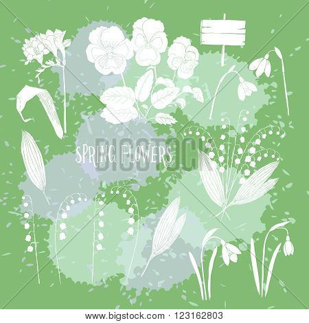 Background with  lily of the valley, galanthus and pansy. Hand drawn snowdrops flowers sketches. Vector Illustration