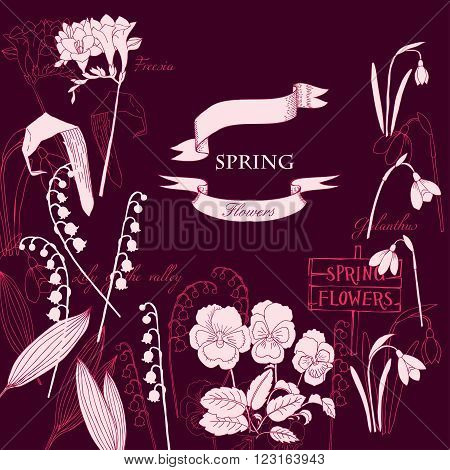 Background with  lily of the valley, galanthus and pansy. Hand drawn snowdrops flowers sketches. Vector Illustration
