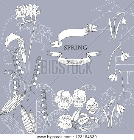 Background with  lily of the valley, galanthus and pansy. Hand drawn snowdrops flowers sketches. Vector Illustration
