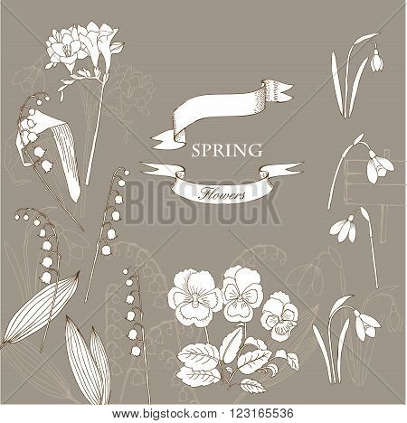 Background with  lily of the valley, galanthus and pansy. Hand drawn snowdrops flowers sketches. Vector Illustration