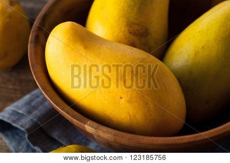 Raw Organic Yellow Mangos