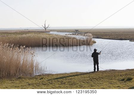 lonely fisher with fishong rod in dutch landscape with meadows and reed