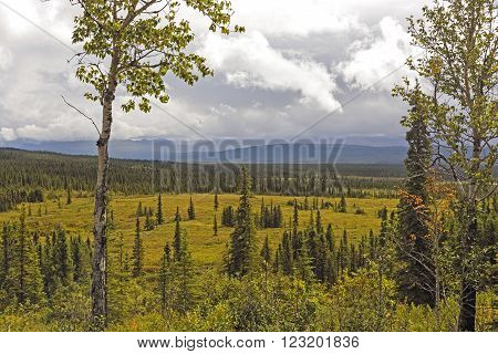 Storm Clouds over a Verdant Valley near Wonder Lake in Denali National Park in Alaska