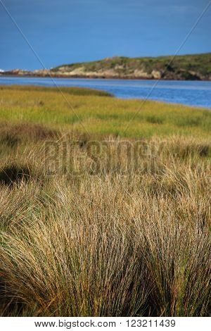 The Tarkine in Tasmania. A scene from the Pieman River and Pieman Heads coastal region of the Tarkine wilderness in Tasmania in February 2016.