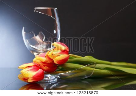 Farewell concept. One broken wineglass and tulips on nice dark background